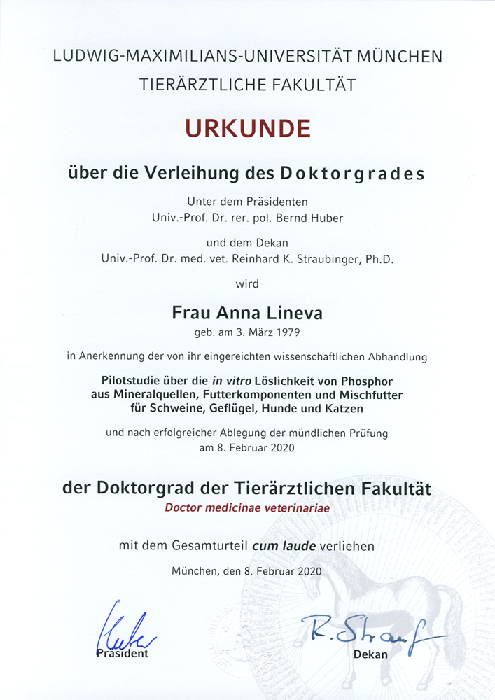 PhD grade at LMU University, Munich, 2020