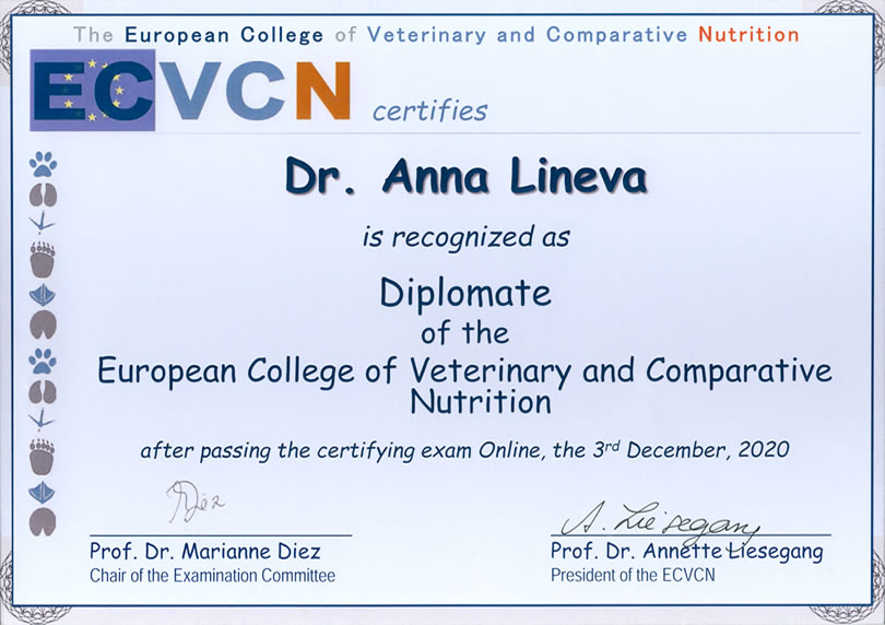 ECVCN diplomate certificate